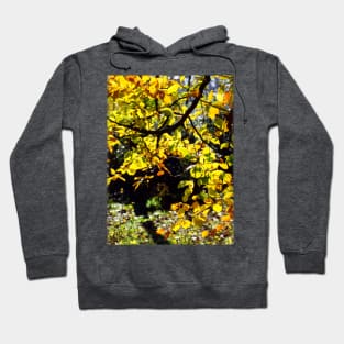 Through the Trees Hoodie